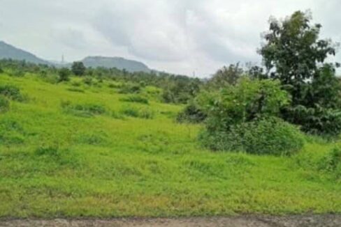 Screenshot 2025 07 25 22 21 34 20 6012fa4d4ddec268fc5c7112cbb265e7