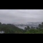 34 BIGHA Land for sale