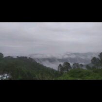 34 BIGHA Land for sale