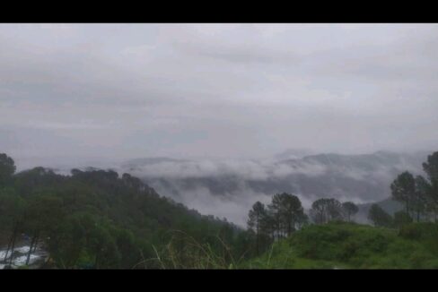 34 BIGHA Land for sale